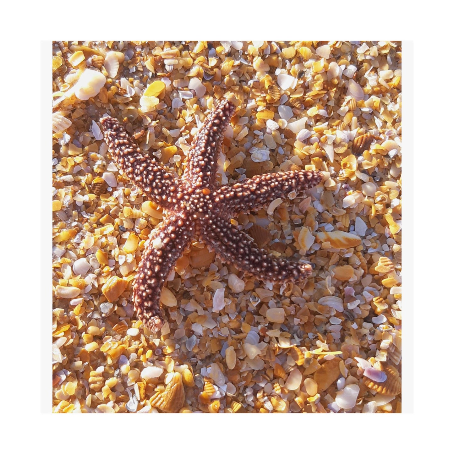 Beach Vibes Matte Vertical Posters, Coastal Decor, Ocean-Themed Wall Art, Nautical Home Decor, Starfish Prints, Summer Aesthetic