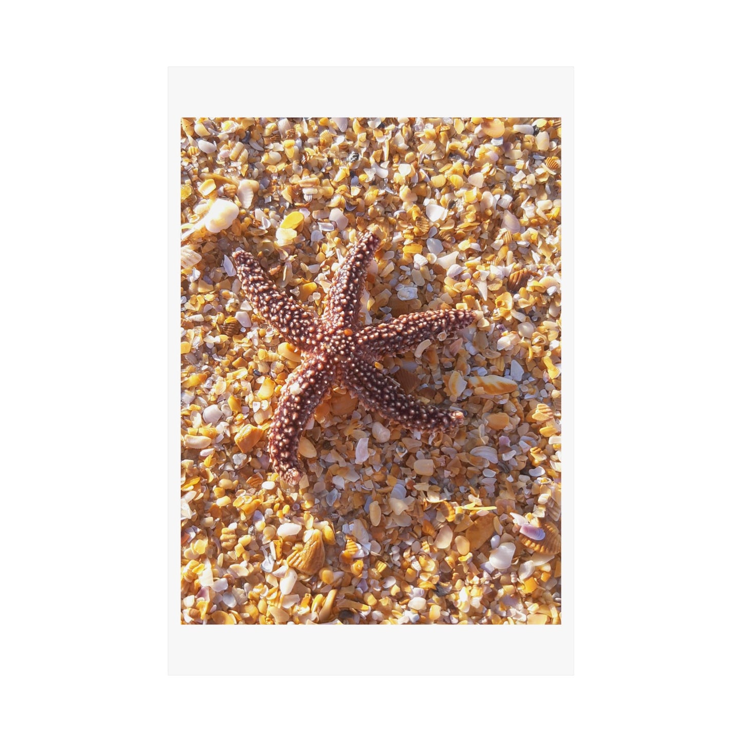 Beach Vibes Matte Vertical Posters, Coastal Decor, Ocean-Themed Wall Art, Nautical Home Decor, Starfish Prints, Summer Aesthetic