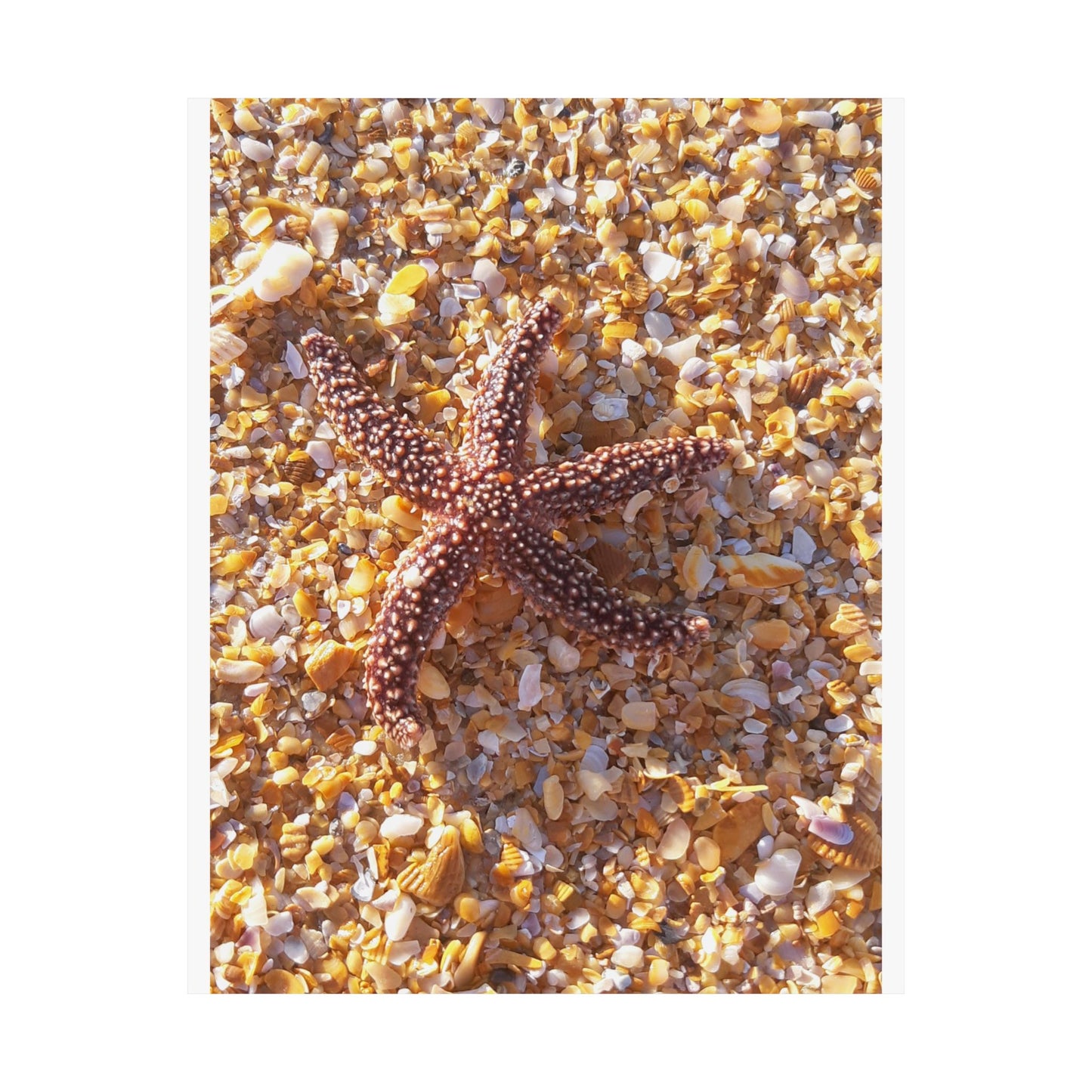 Beach Vibes Matte Vertical Posters, Coastal Decor, Ocean-Themed Wall Art, Nautical Home Decor, Starfish Prints, Summer Aesthetic