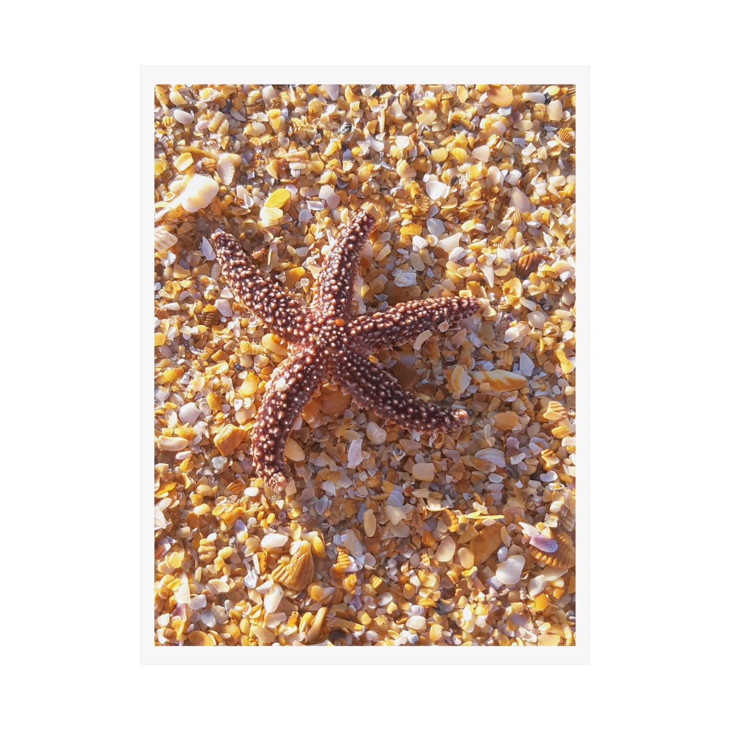 Beach Vibes Matte Vertical Posters, Coastal Decor, Ocean-Themed Wall Art, Nautical Home Decor, Starfish Prints, Summer Aesthetic